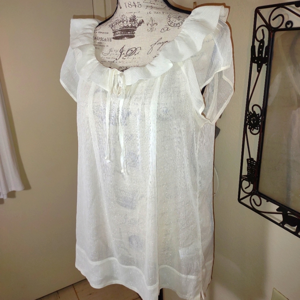 "To The Max", womans Sheer Blouse, ruffled neck, Glittery threads